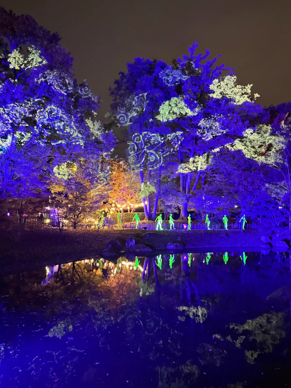 Arbres éclairés en bleu avec des motifs de nuages kumo projetés et des figures lumineuses près de l’étang